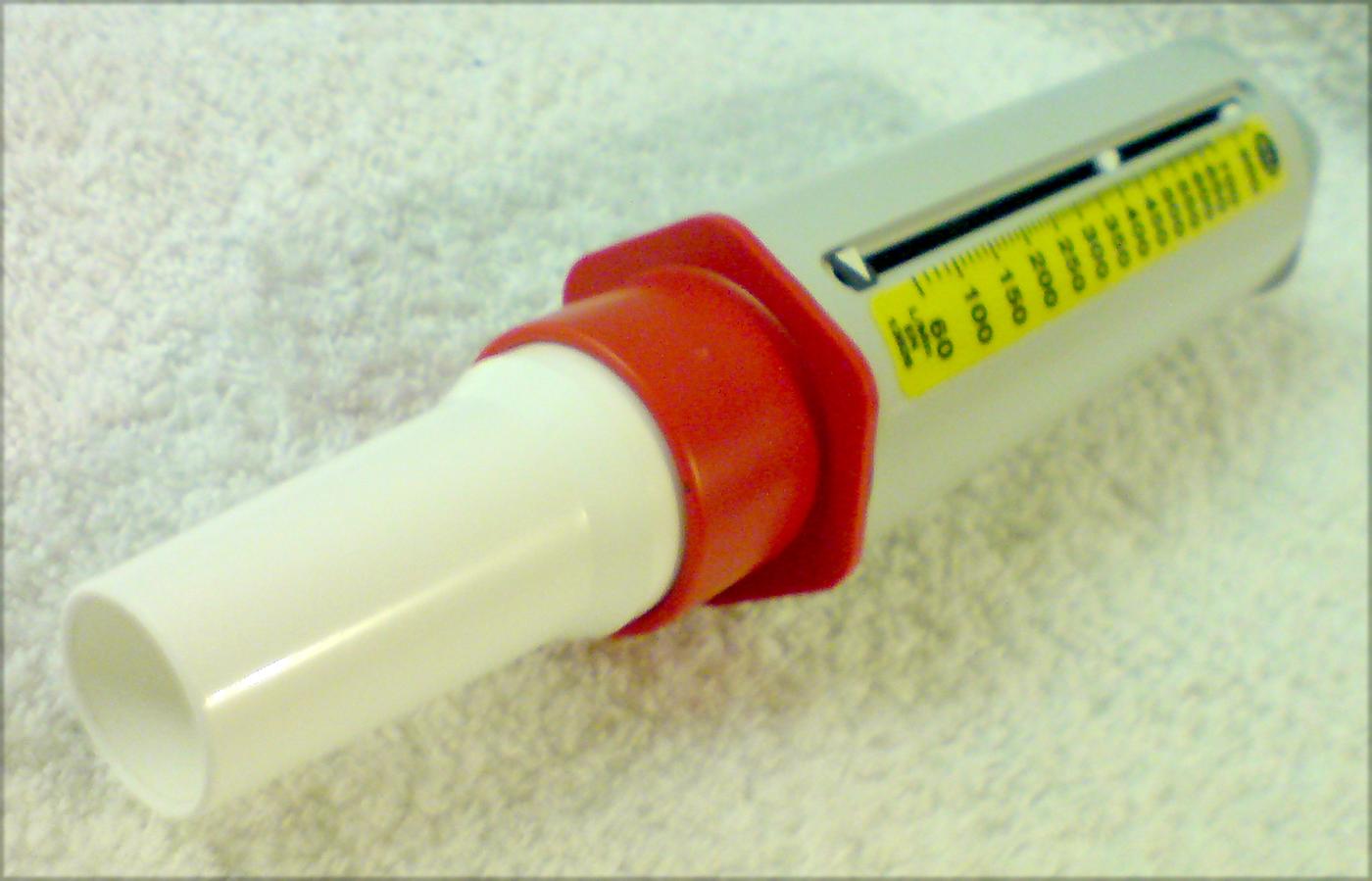 A handheld peak-flow meter, the small device used to measure the fastest rate of exhaled air in asthma monitoring.